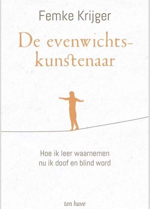 Cover van boek De evenwichtskunstenaar met een figuurtje balancerend op het slappe koord